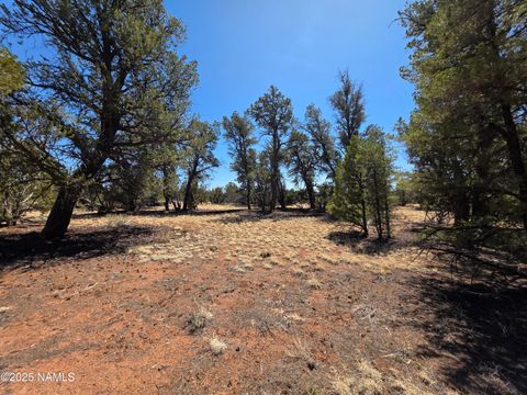 Photo of Williams, AZ 86046 (MLS # 200239)