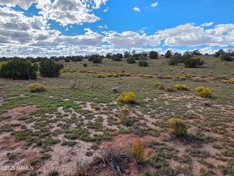 Photo of Williams, AZ 86046 (MLS # 202512)