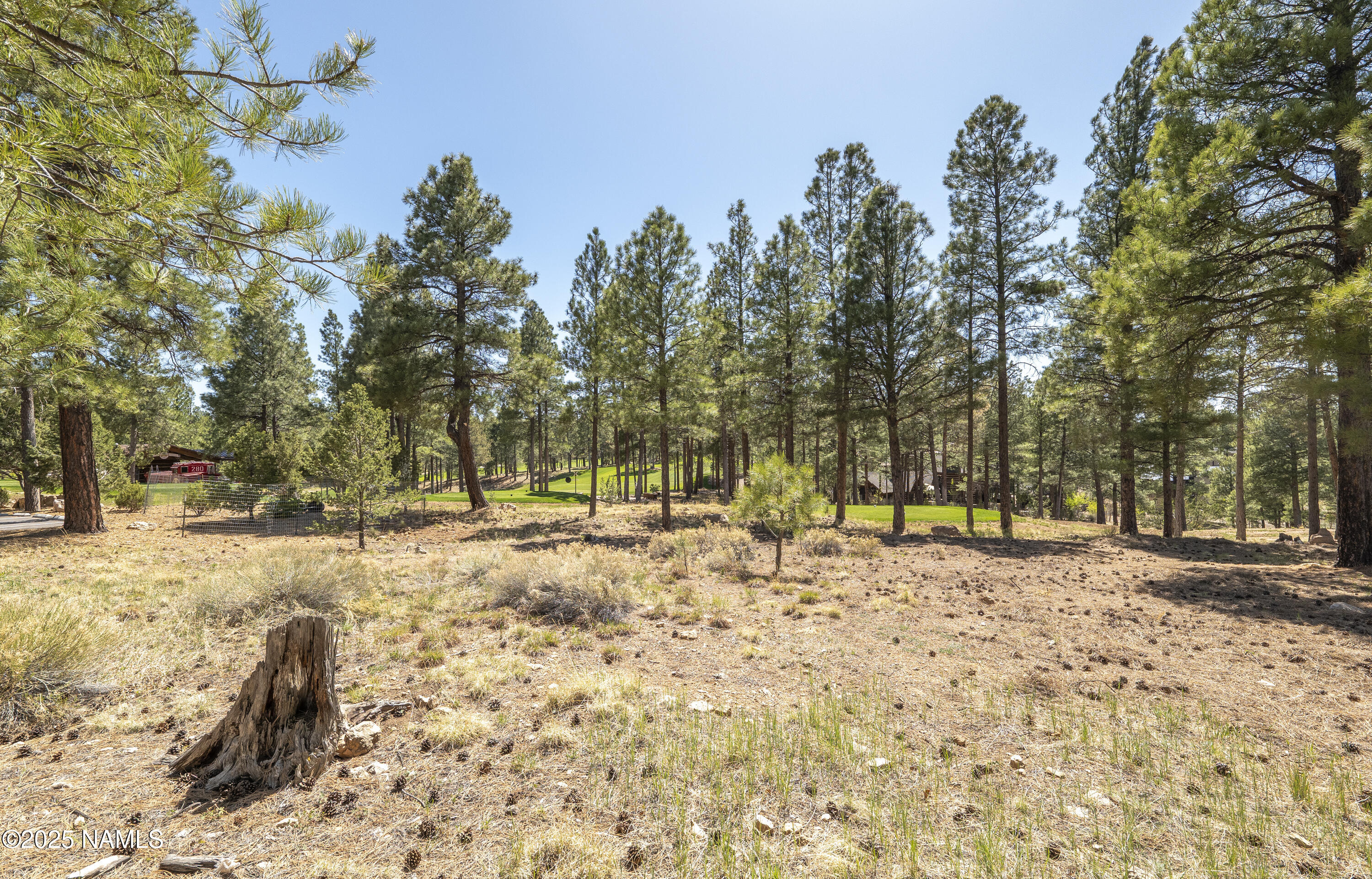 1999 E Iron Horse Ct  Lot 250