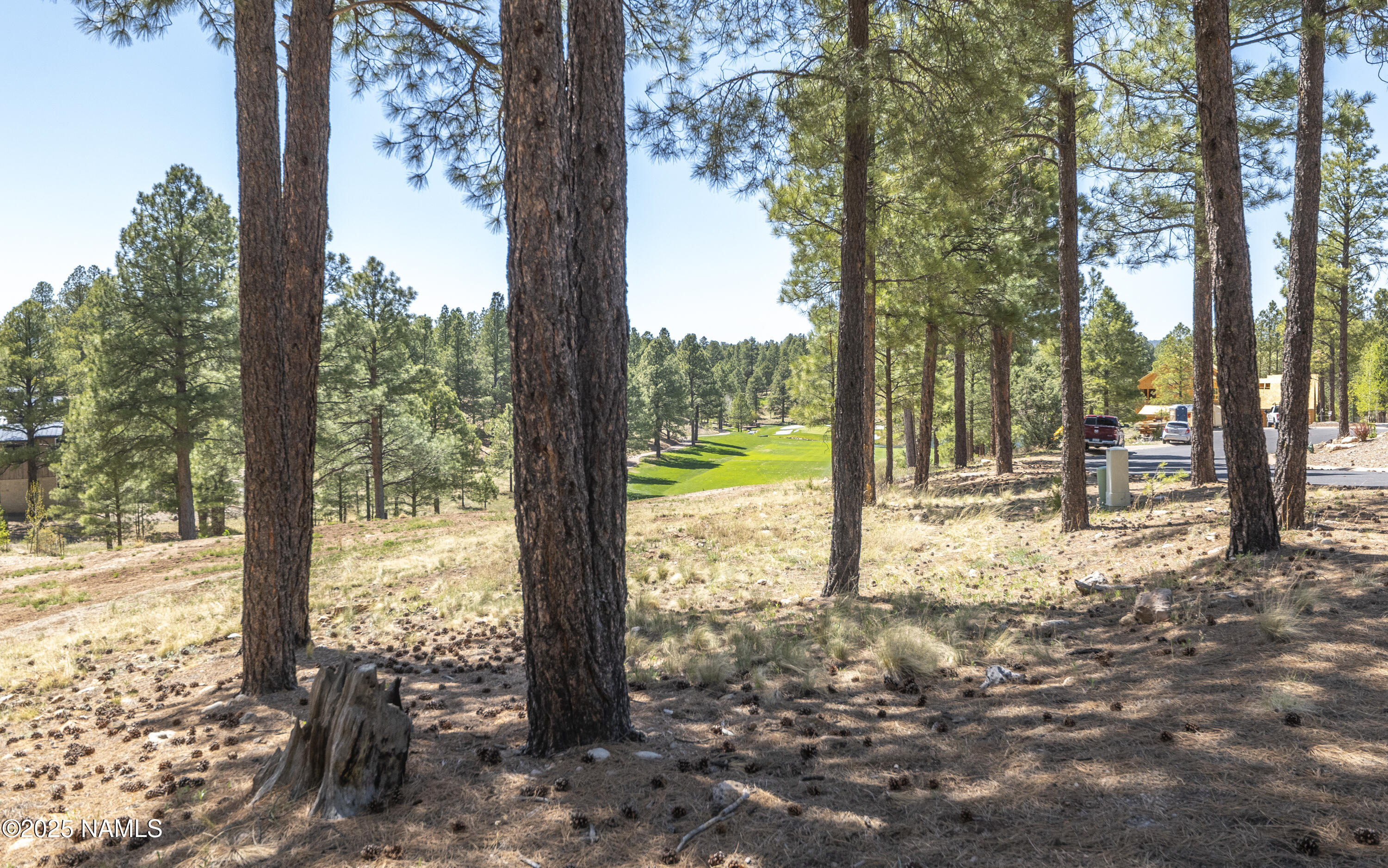 1999 E Iron Horse Ct  Lot 250