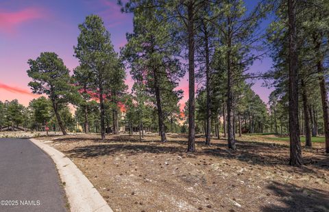 1999 E Iron Horse Ct  Lot 250 Flagstaff AZ 86005