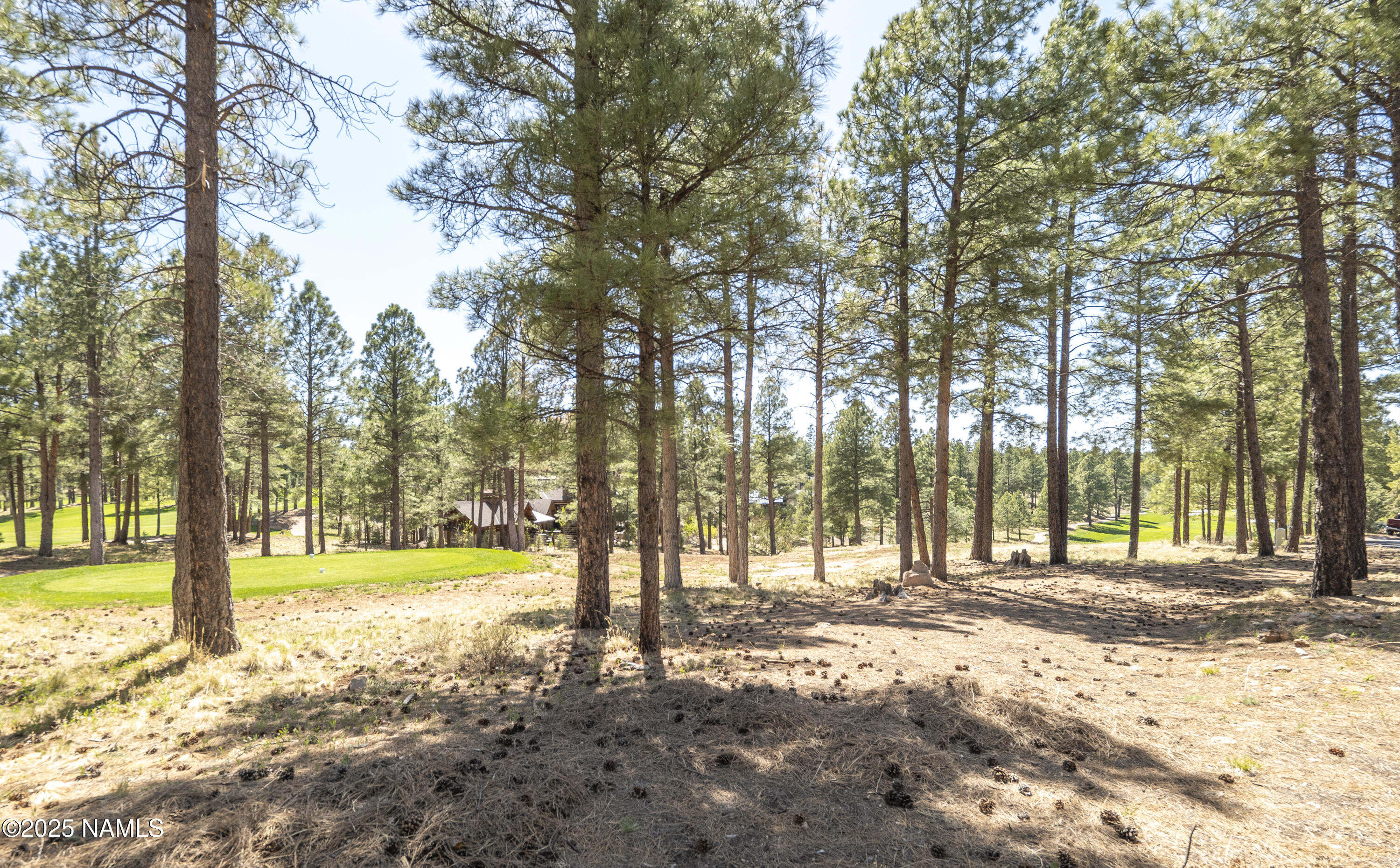 1999 E Iron Horse Ct  Lot 250