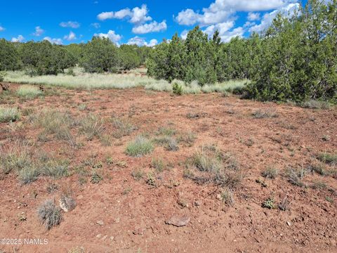 Photo of Williams, AZ 86046 (MLS # 202330)