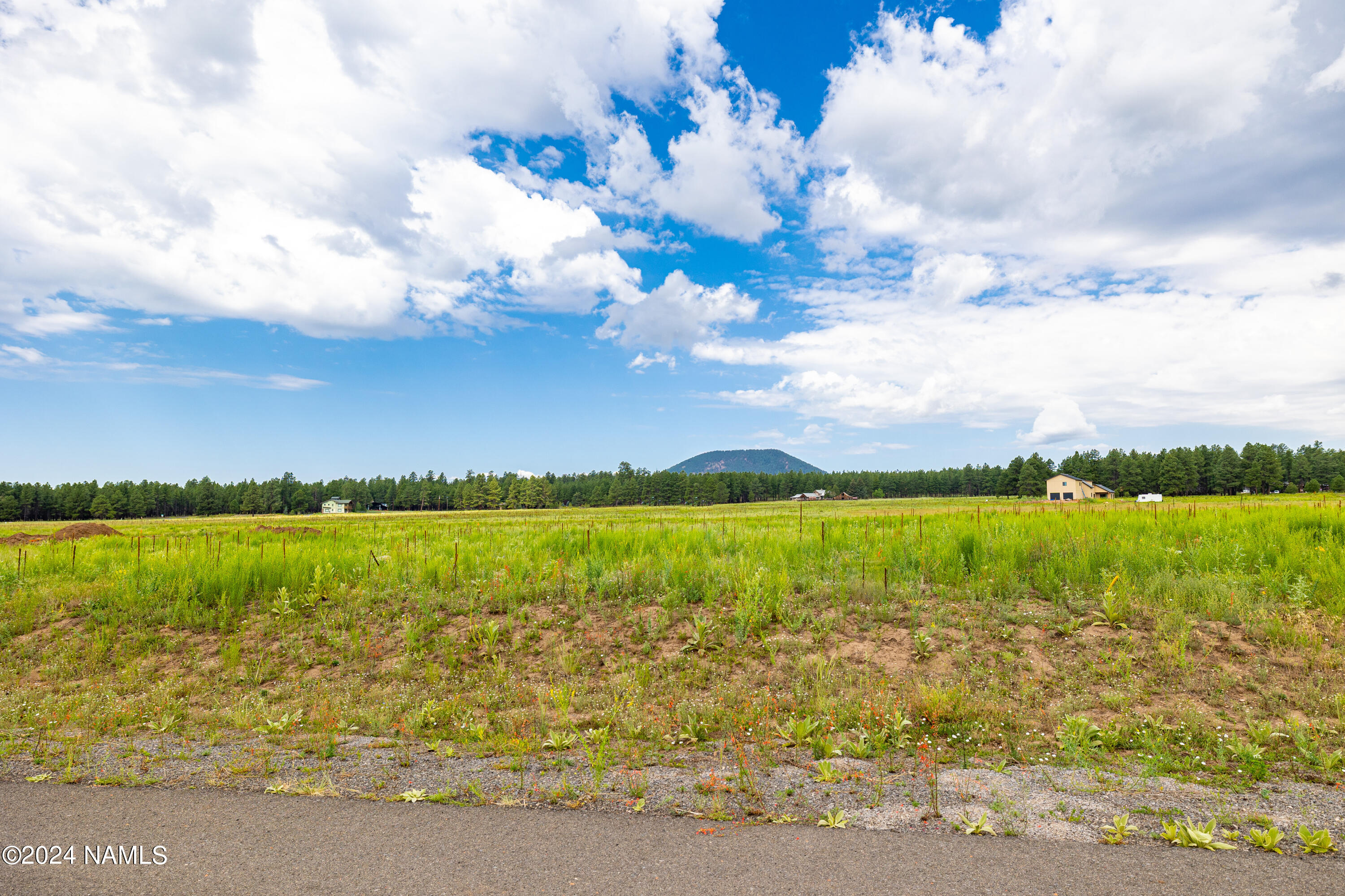 8914 Ranch At The Peaks Way