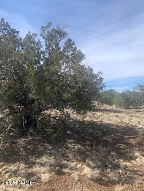 782 E Little Horse Road