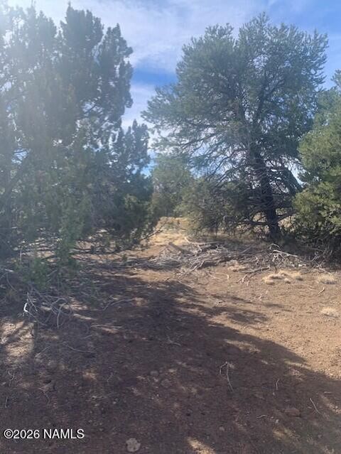 782 E Little Horse Road Williams AZ 86046