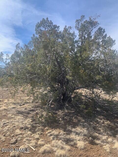 782 E Little Horse Road