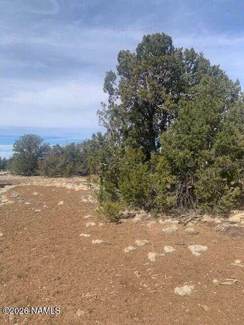 782 E Little Horse Road