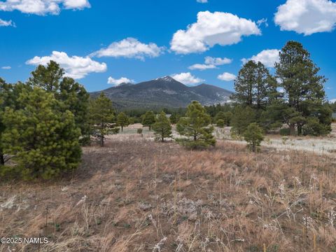 9025 N Snowbowl Ranch Road Flagstaff AZ 86001