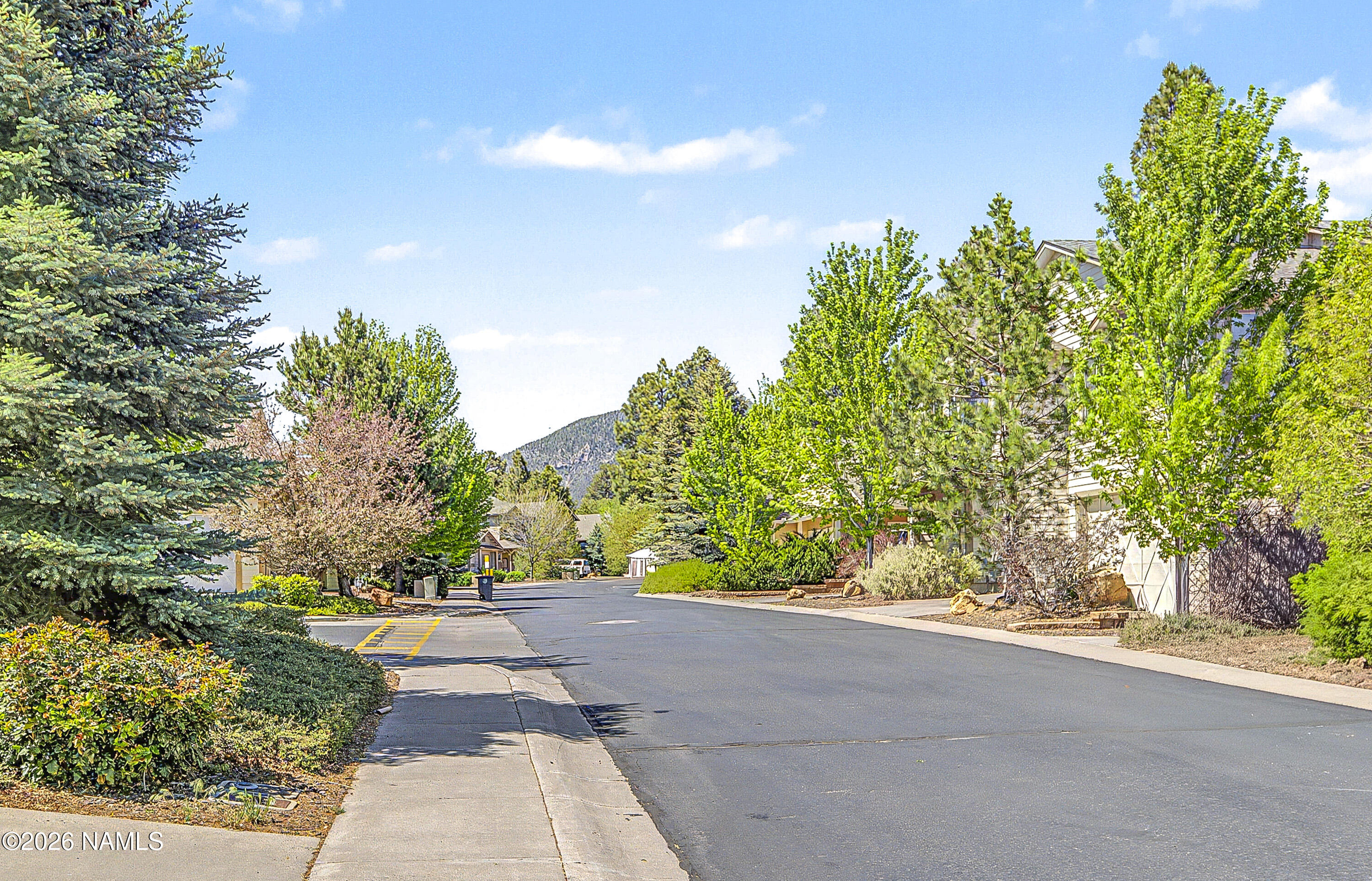 1113 N Flowing Springs Trail