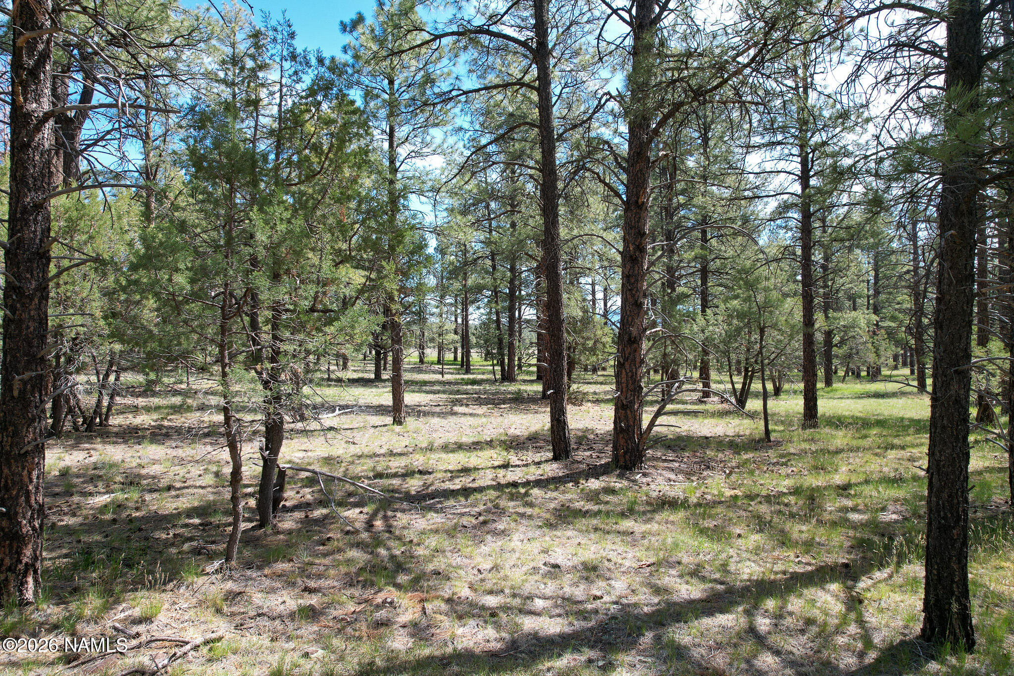 581 Cooper Ranch Road Lot 4