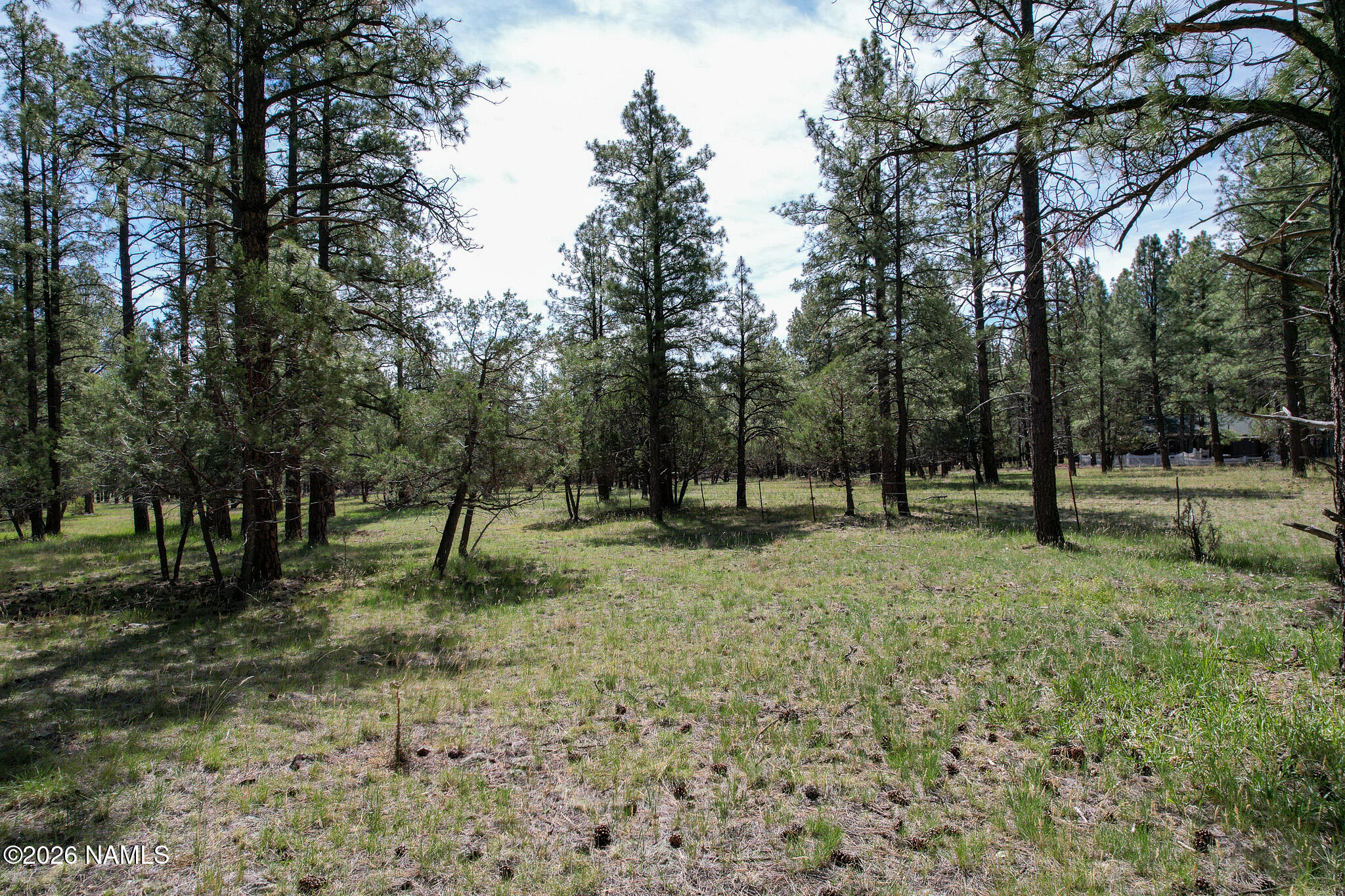 581 Cooper Ranch Road Lot 4