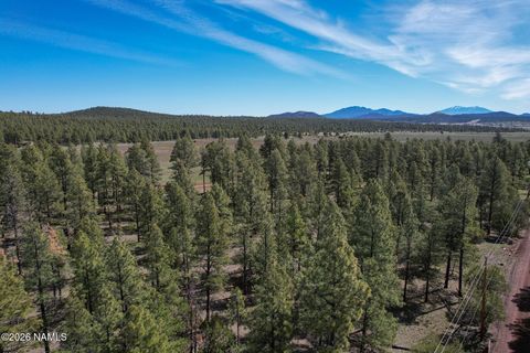 581 Cooper Ranch Road Lot 4 Williams AZ 86046