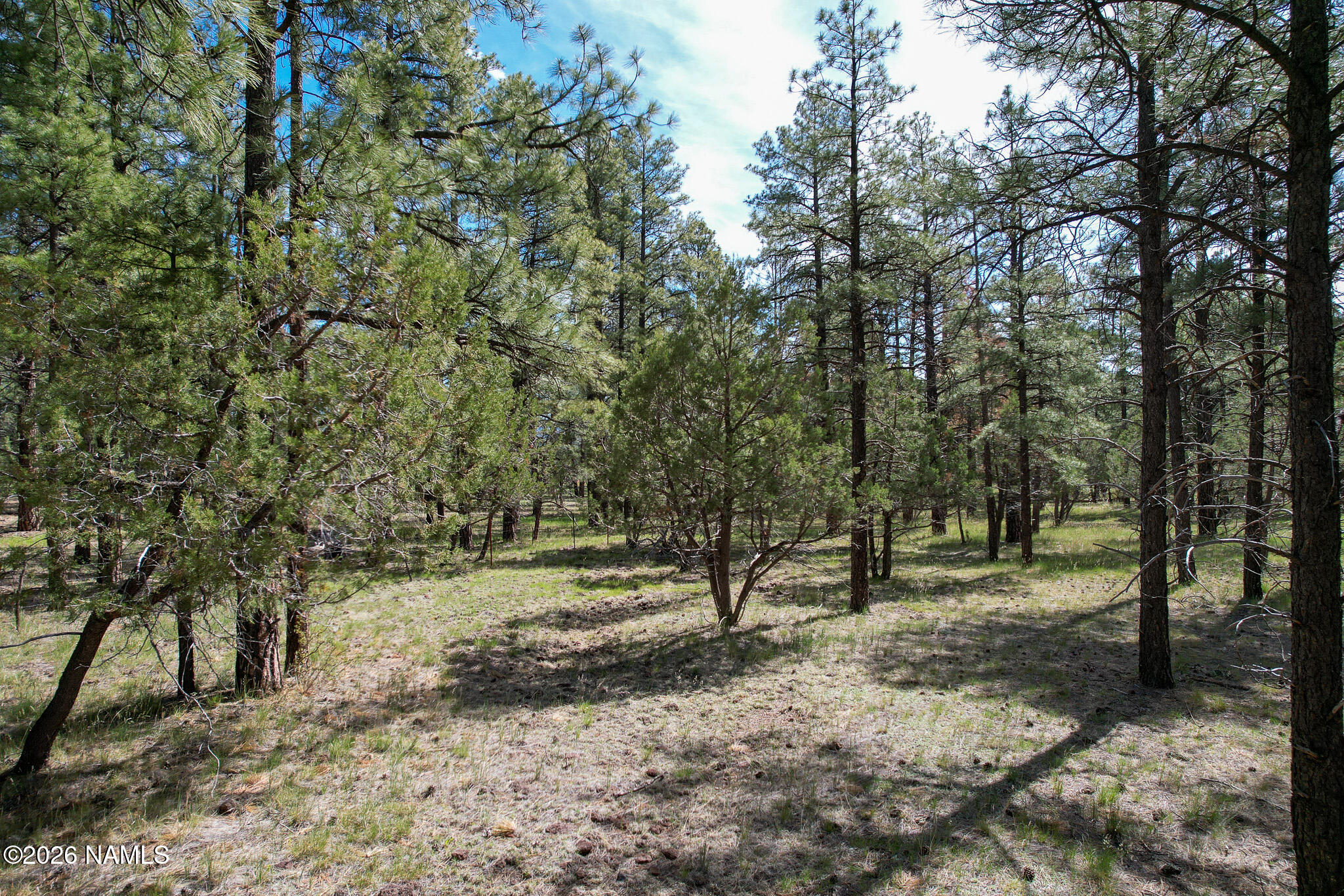 581 Cooper Ranch Road Lot 4