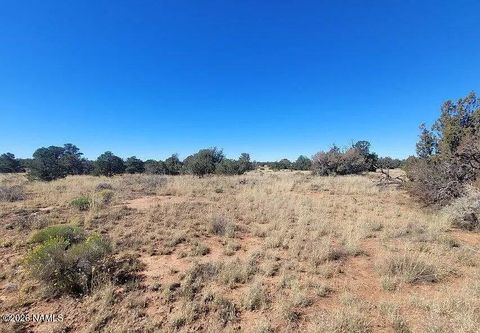 Photo of Williams, AZ 86046 (MLS # 203061)