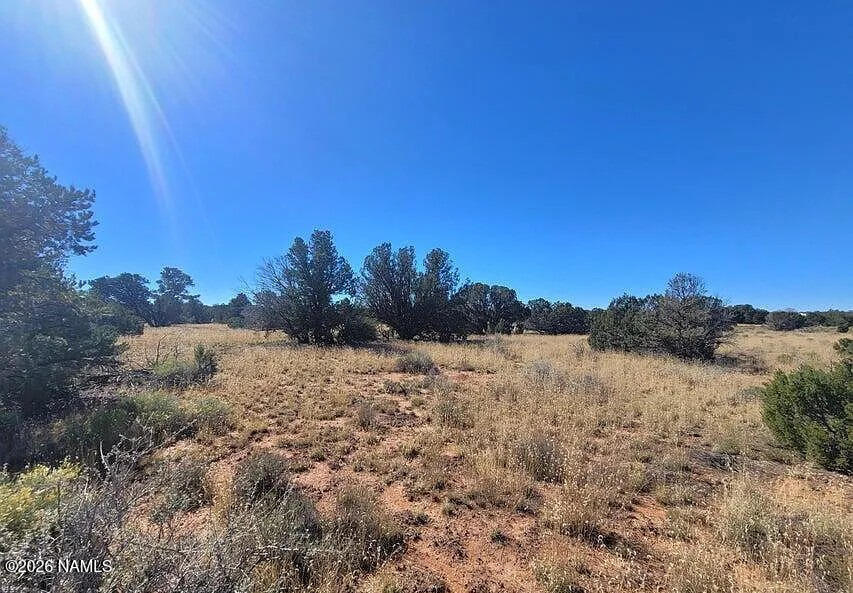 2340 S Hollyhock Lane