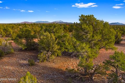 Photo of Williams, AZ 86046 (MLS # 202902)