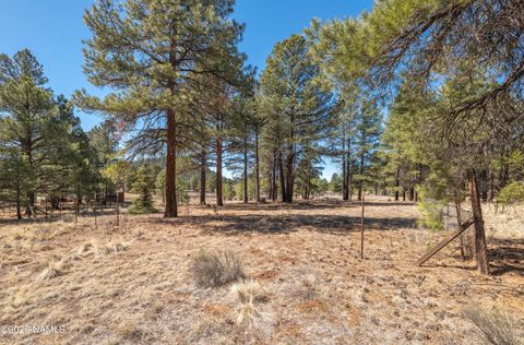 Photo of Parks, AZ 86018 (MLS # 203725)