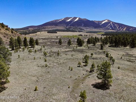 Photo of Flagstaff, AZ 86001 (MLS # 204326)