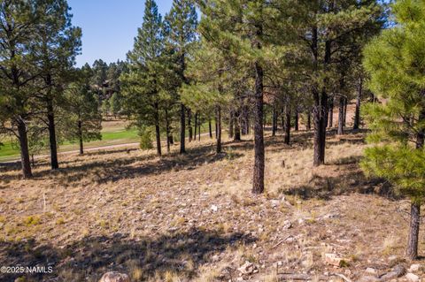 Photo of Flagstaff, AZ 86005 (MLS # 203880)