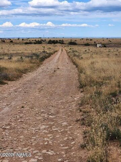 Photo of Williams, AZ 86046 (MLS # 203854)