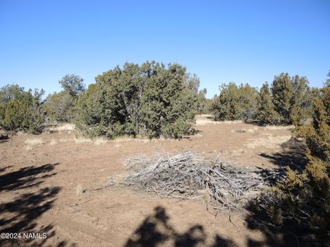 Photo of Williams, AZ 86046 (MLS # 199151)