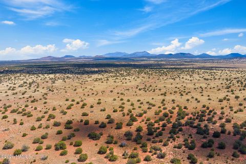 Photo of Williams, AZ 86046 (MLS # 202175)
