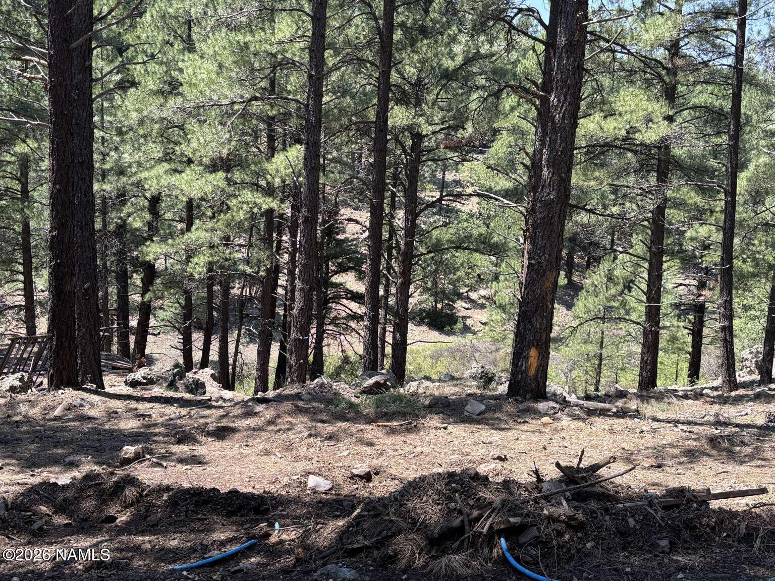 2602 Mesa Trail