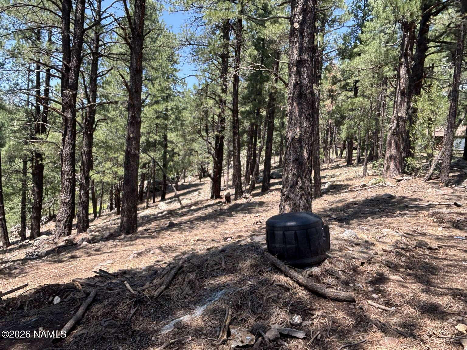 2602 Mesa Trail
