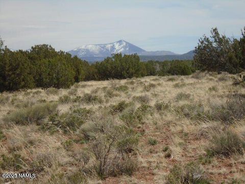 Photo of Williams, AZ 86046 (MLS # 200903)