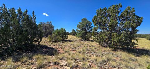 Photo of Williams, AZ 86046 (MLS # 201784)