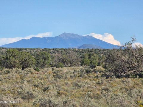 Photo of Williams, AZ 86046 (MLS # 202160)