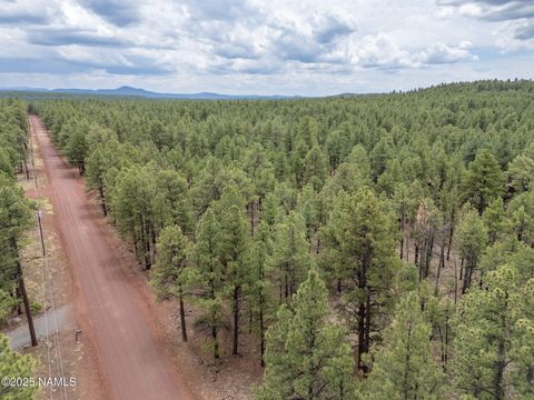 Photo of Williams, AZ 86046 (MLS # 201537)