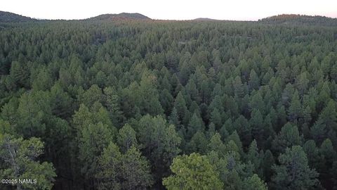Photo of Williams, AZ 86046 (MLS # 201715)