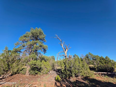 Photo of Williams, AZ 86046 (MLS # 202159)