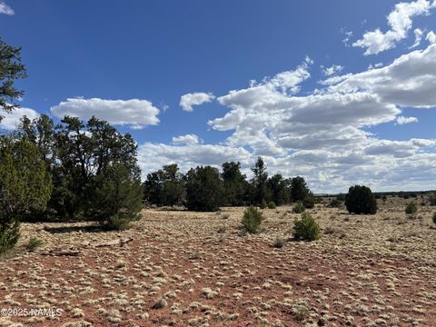 Photo of Williams, AZ 86046 (MLS # 200248)