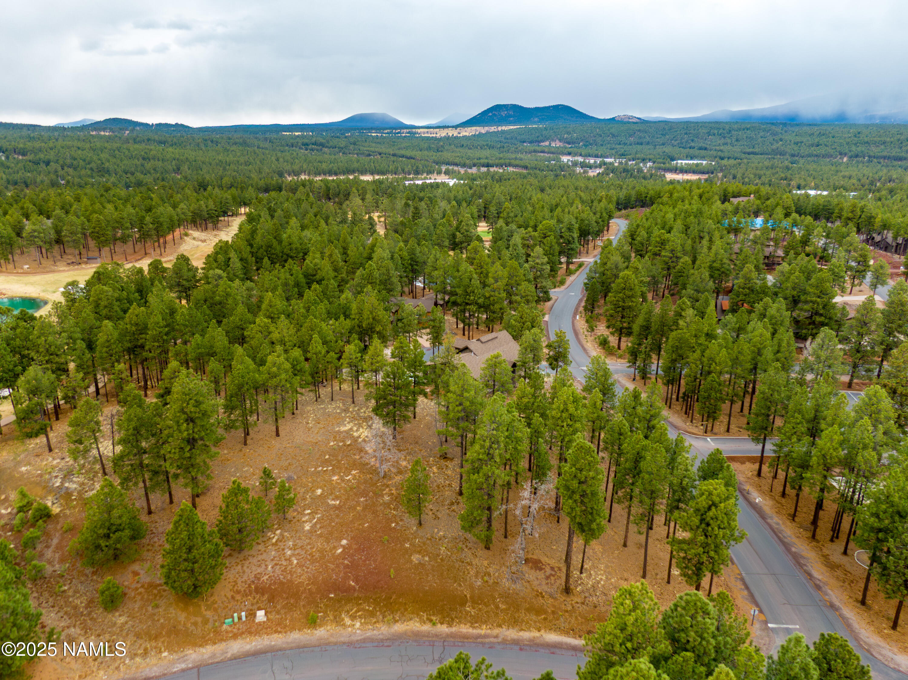 3610 W Strawberry Roan 169