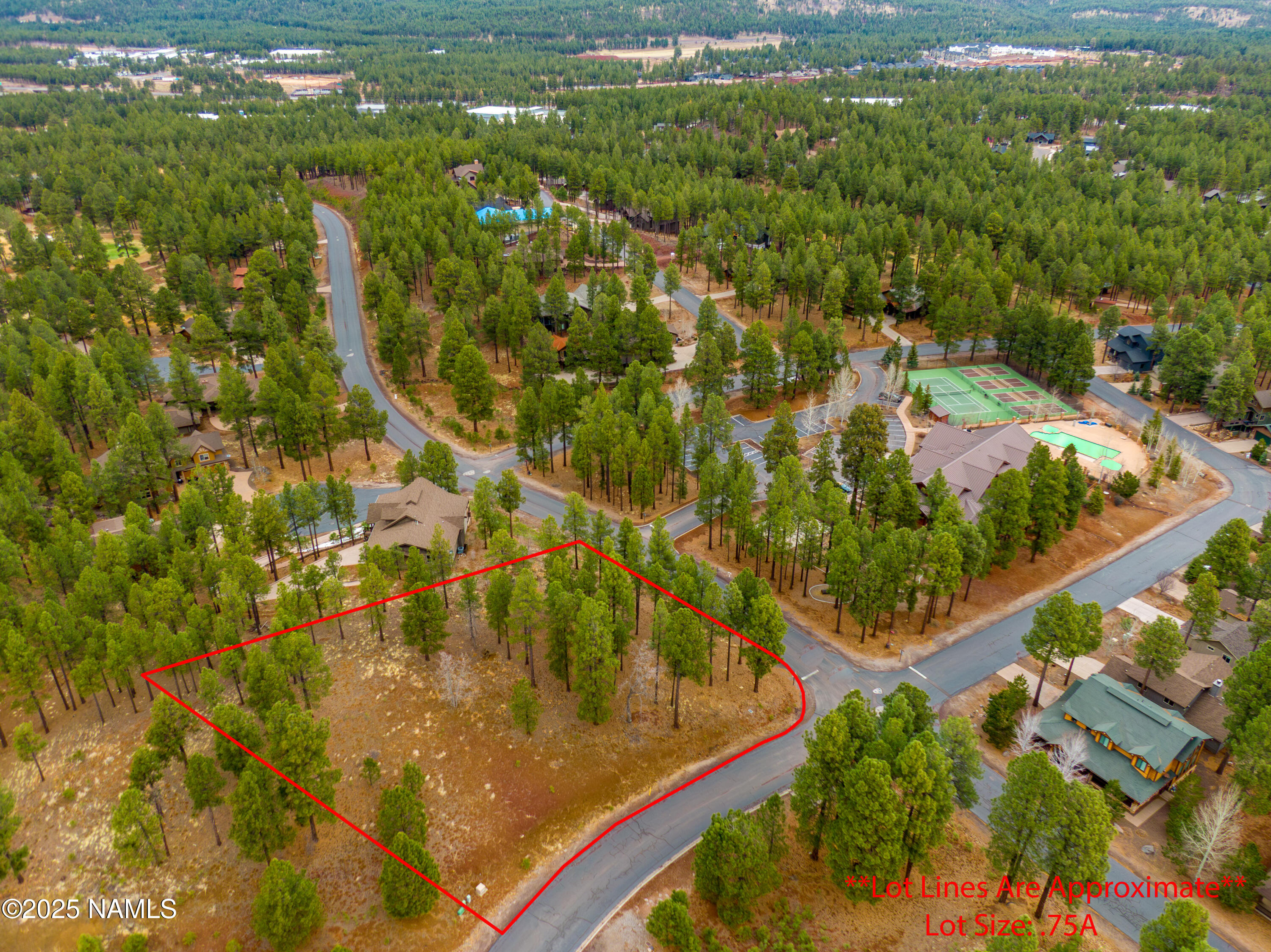 3610 W Strawberry Roan 169