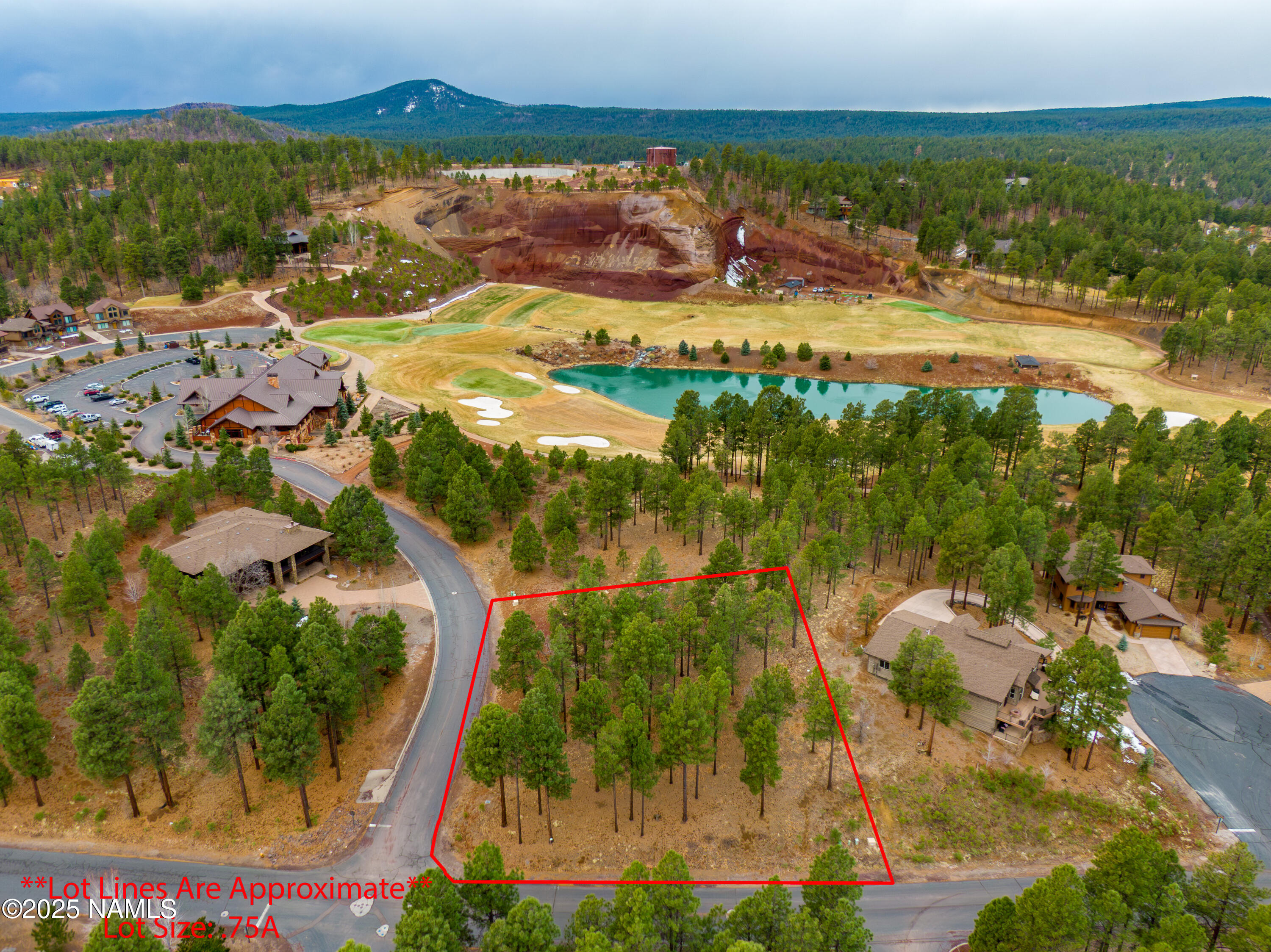 3610 W Strawberry Roan 169