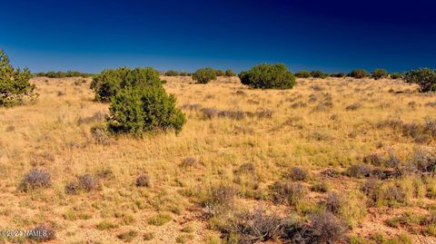 Photo of Williams, AZ 86046 (MLS # 197750)