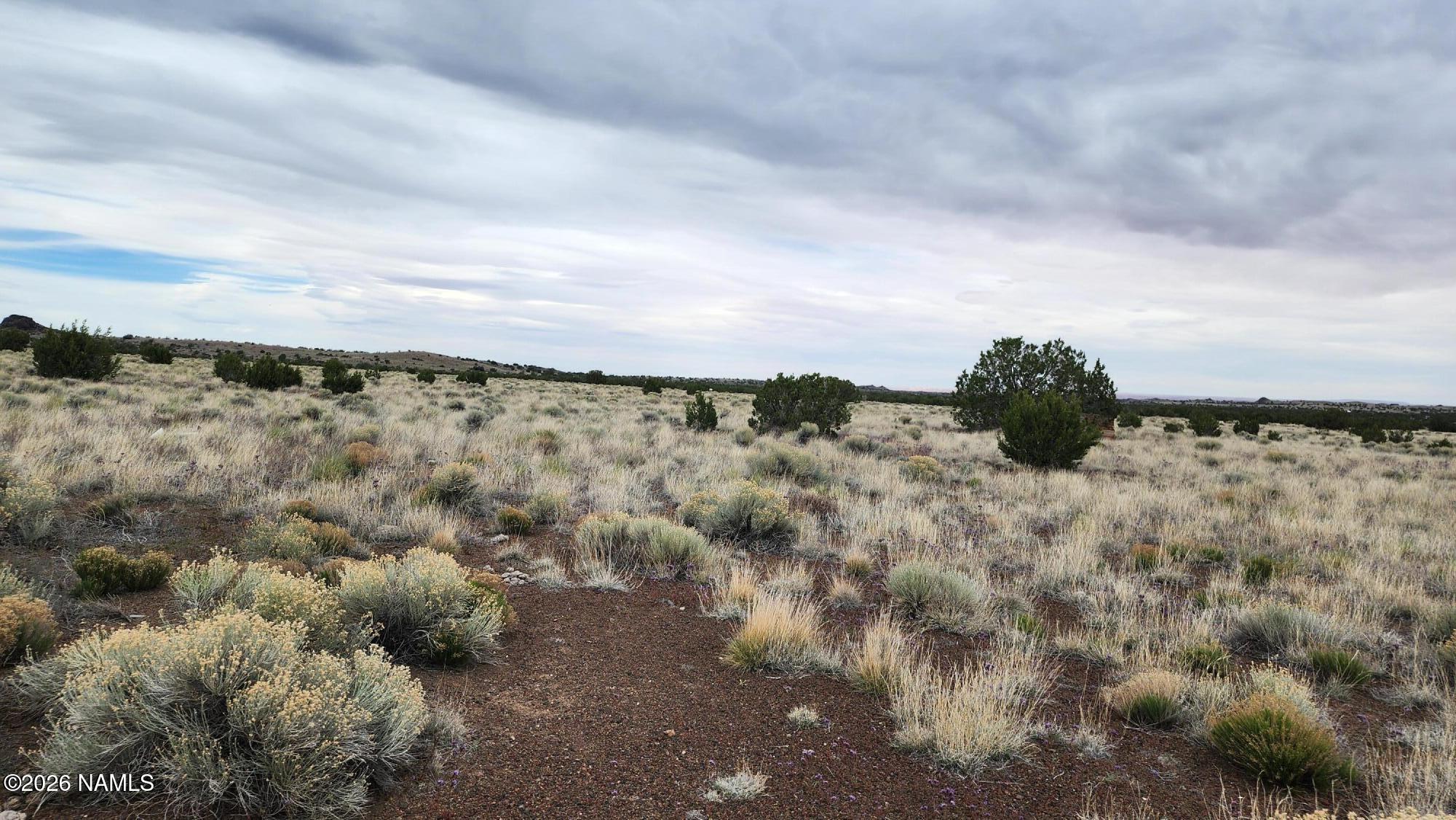 30342036-C Alpine Ranches