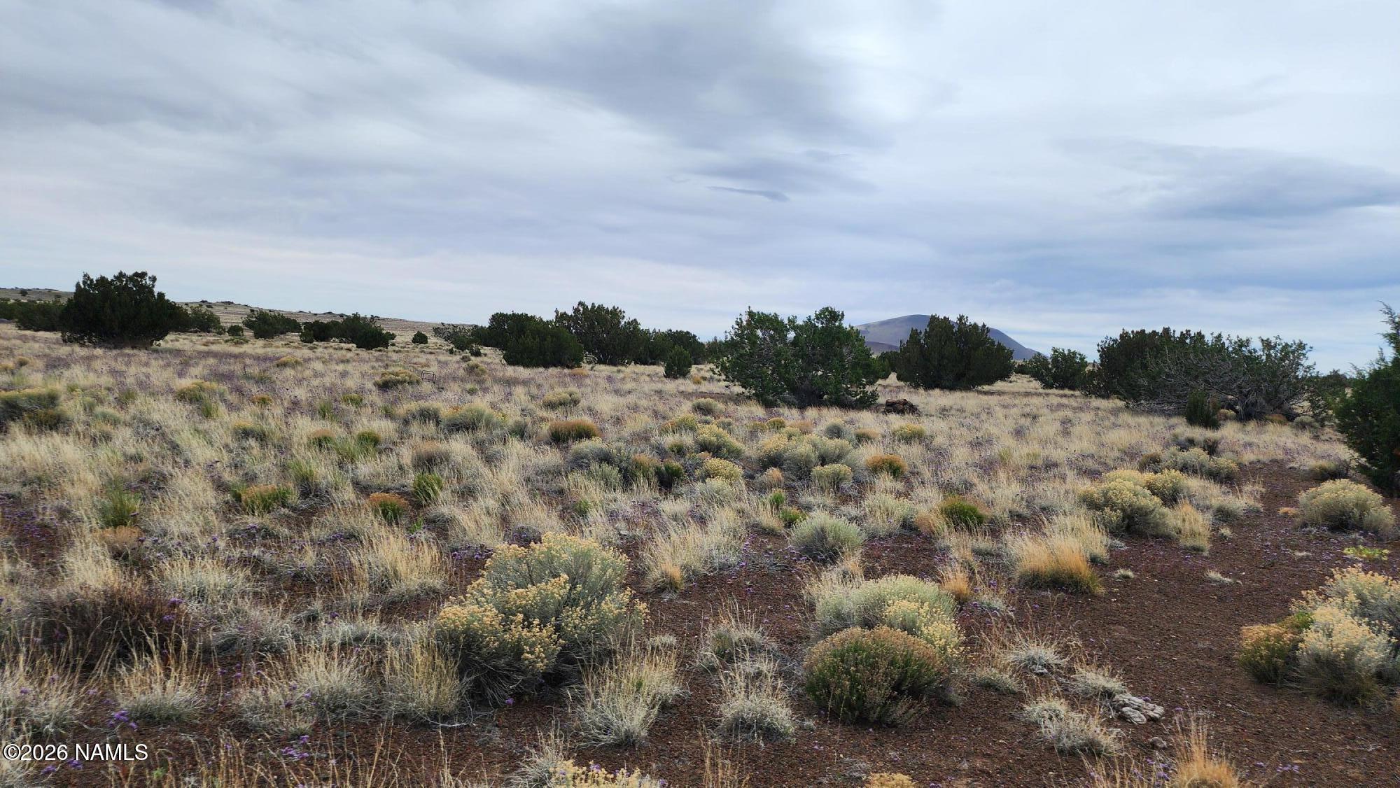 30342036-C Alpine Ranches