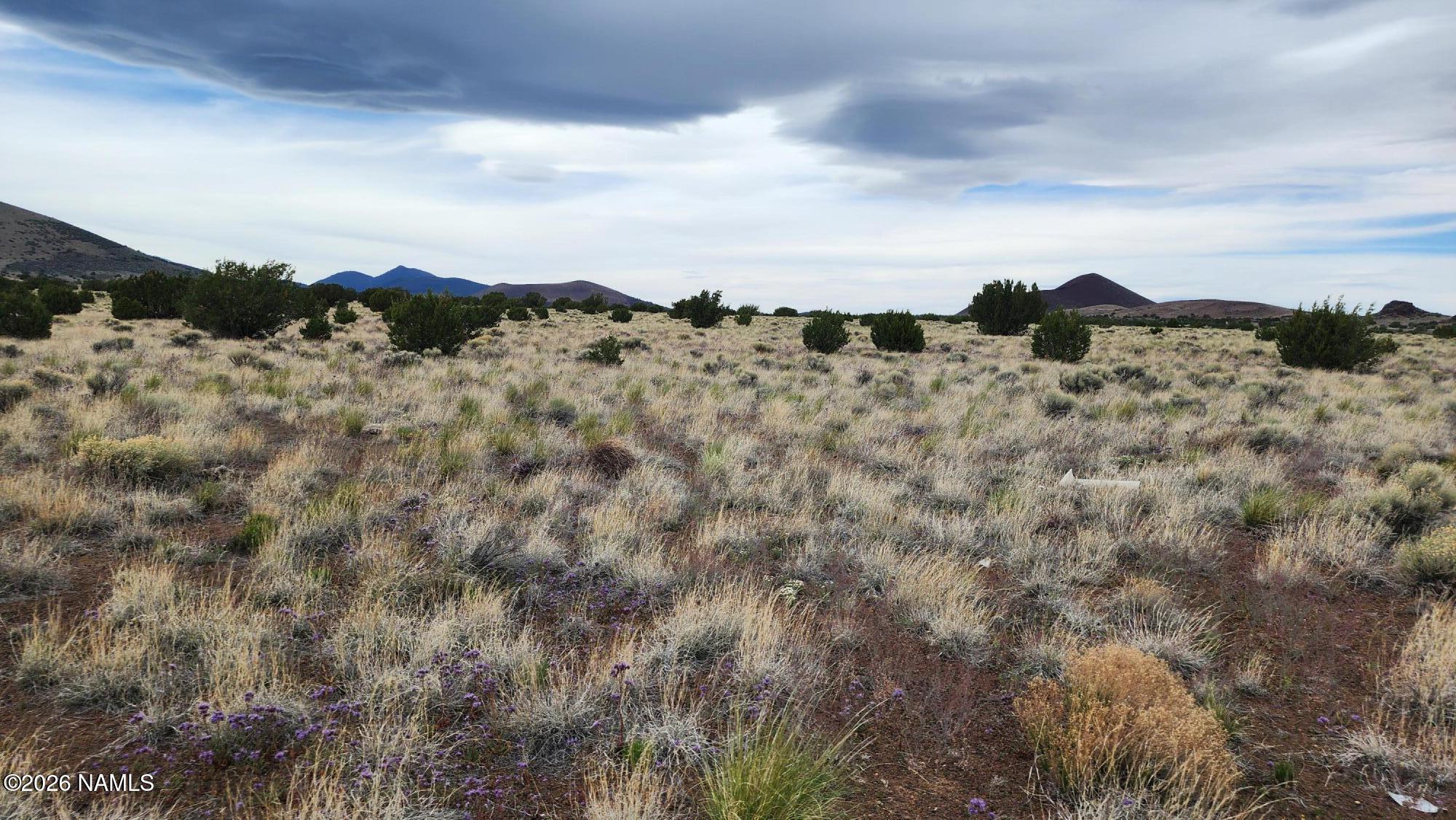 30342036-C Alpine Ranches