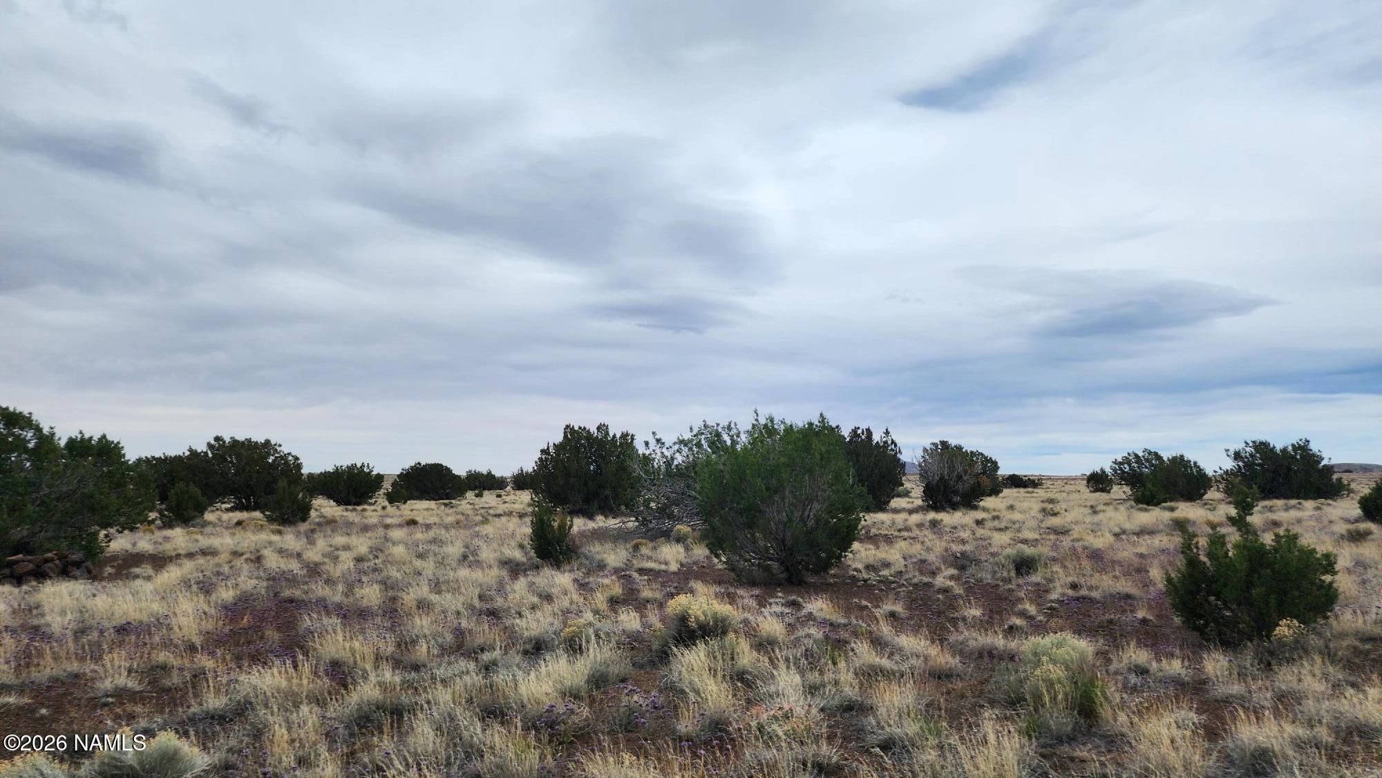 30342036-C Alpine Ranches