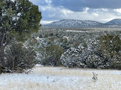 13537 Bly Station Road Williams AZ 86046