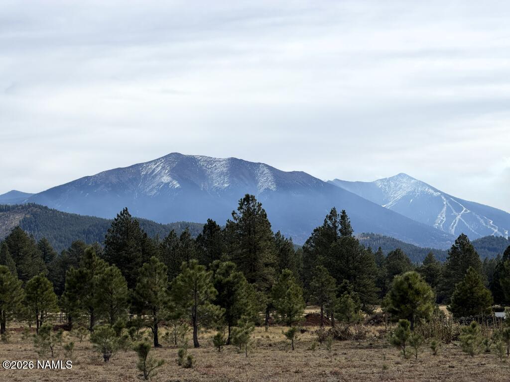 17672 Crowley Trail