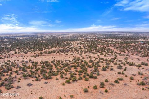 Photo of Williams, AZ 86046 (MLS # 203560)
