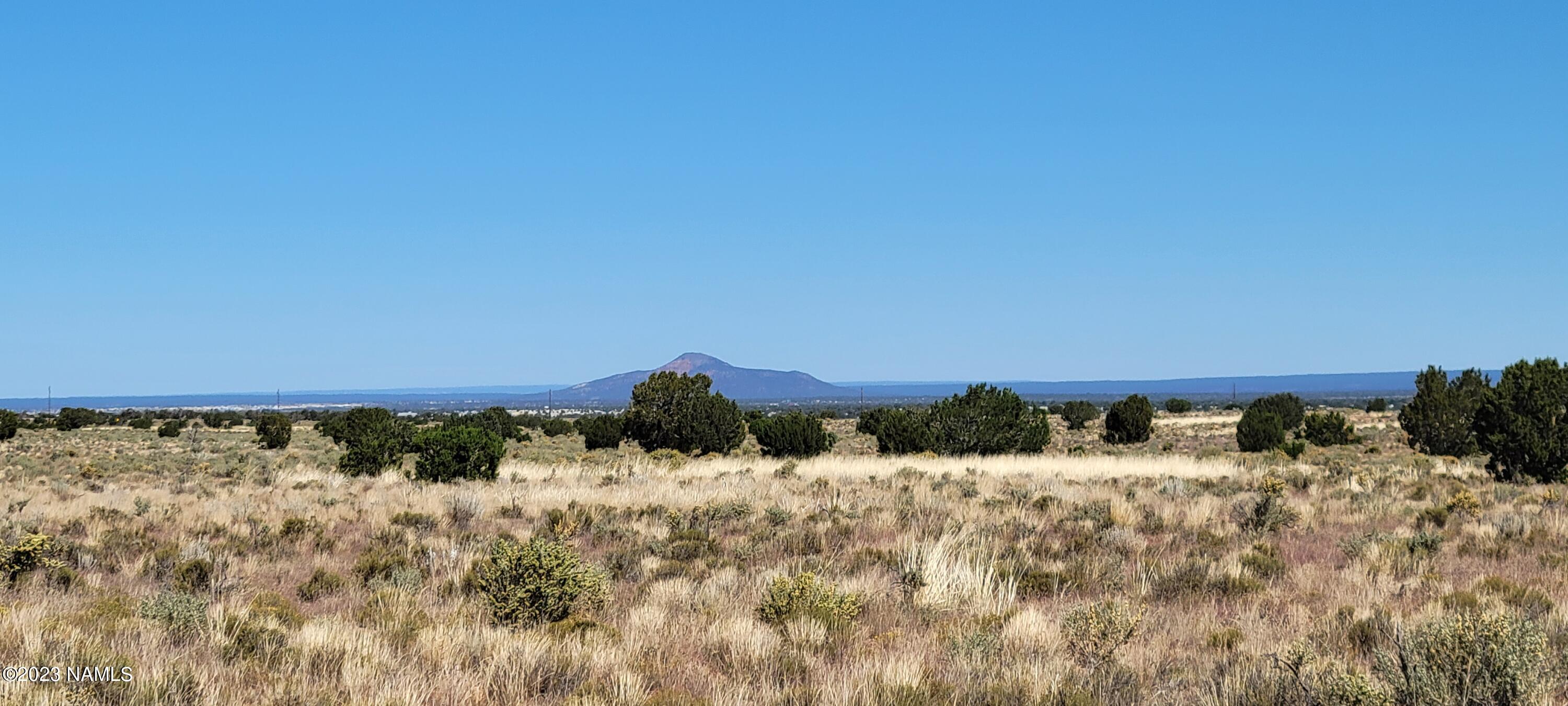 2816 E Wingfield Road