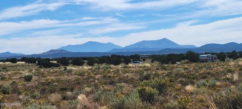 2816 E Wingfield Road Williams AZ 86046