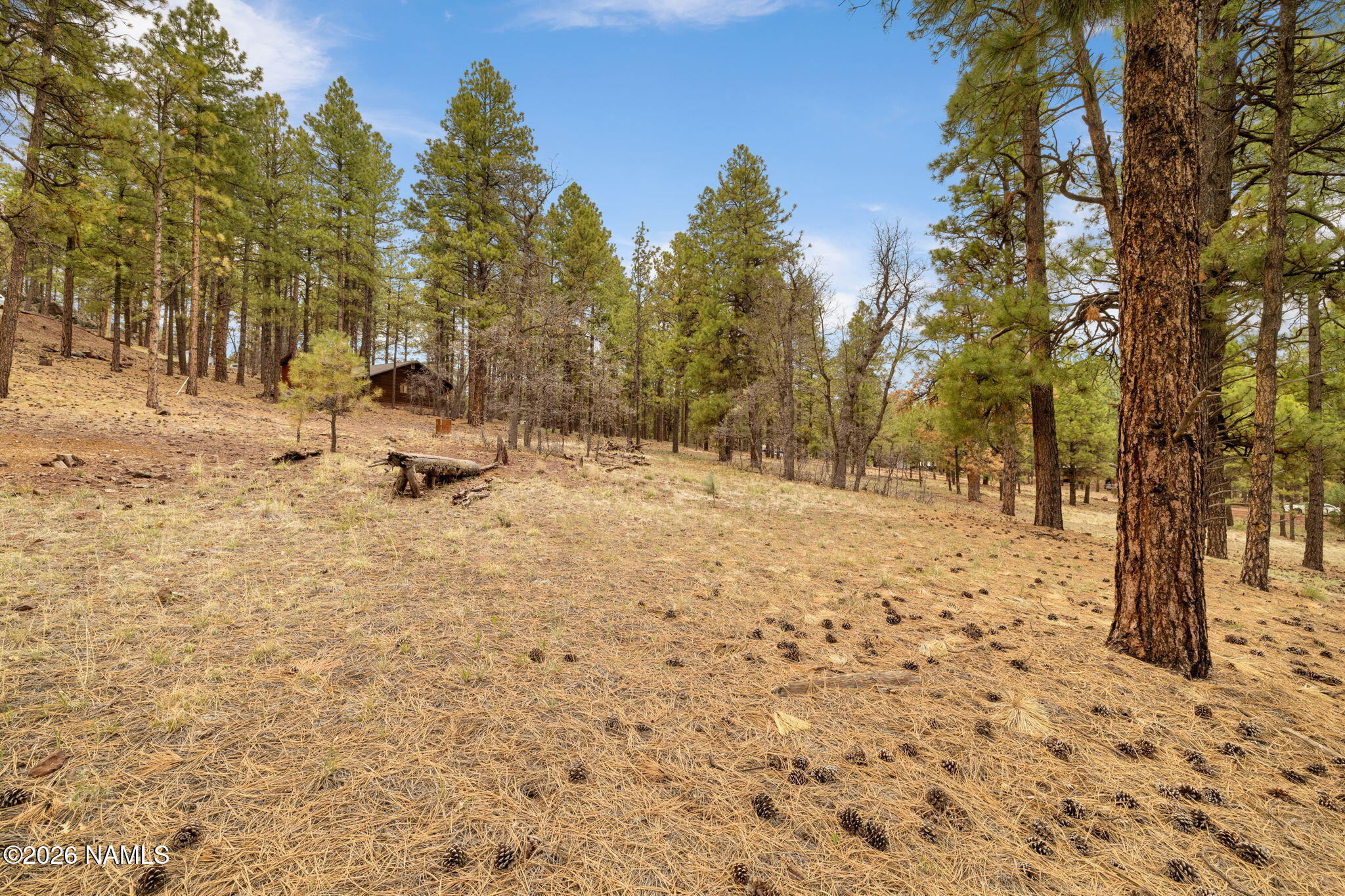 7804 E Long Bow Drive